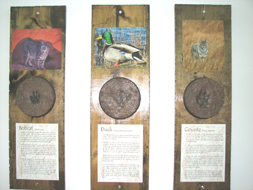 ANIMAL TRACK CONCRETE STAMPS PAGE ONE